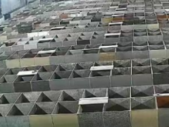 养殖竹鼠前应先从哪里开始了解(竹鼠养殖前做好哪些准备)？
