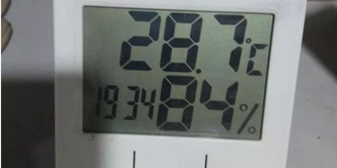 竹鼠场地湿度80%