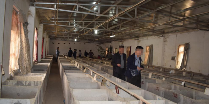 养殖场实地考察学习竹鼠养殖技术