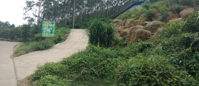 竹鼠养殖场选址应交通便利