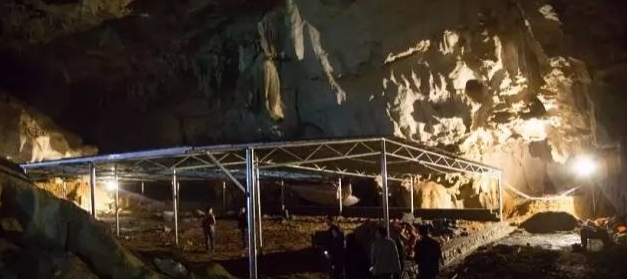 竹鼠养在山洞
