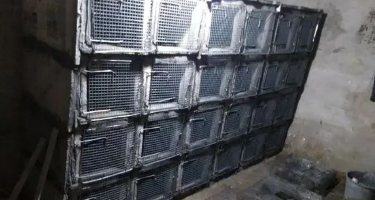 竹鼠鼠池:多层水泥板结构立体池