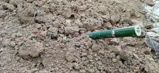 种竹子:盖一层松土用来吸收雨水和肥料