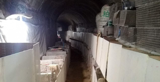 防空洞养竹鼠