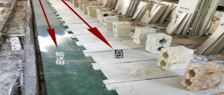 利用输送带清理竹鼠粪便