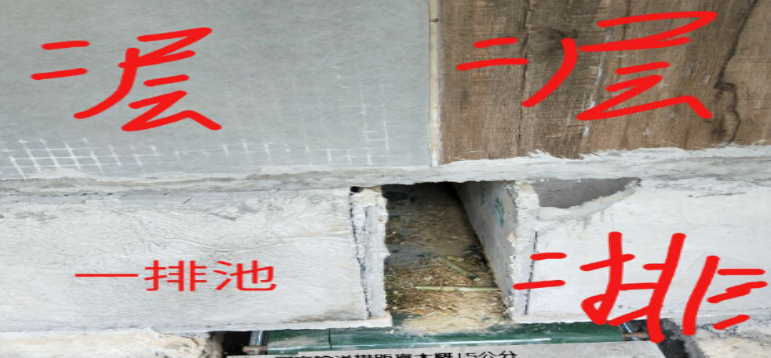 输送带和竹鼠鼠池的安装