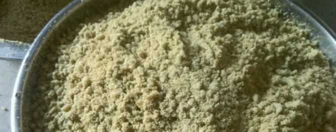 一只成年竹鼠精料一餐的量