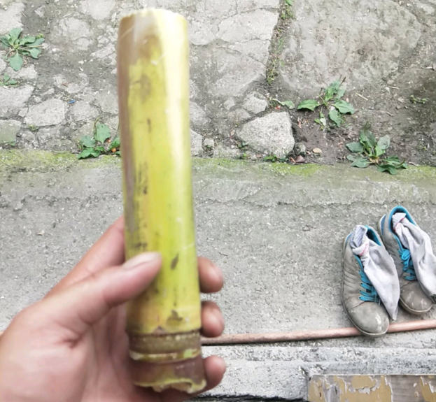 一只幼竹鼠一天喂八分之一的量