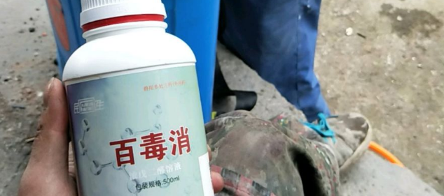 百毒消给竹鼠鼠池消毒