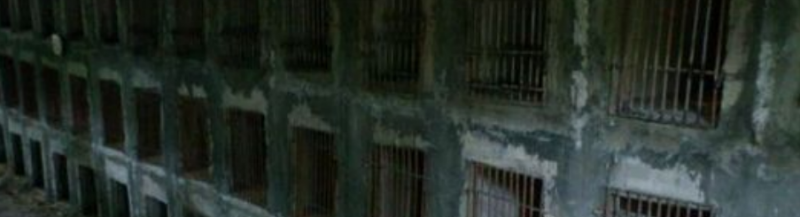 立体池养竹鼠出现白牙