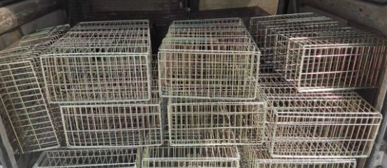5只装单笼镀锌材料商品运输笼