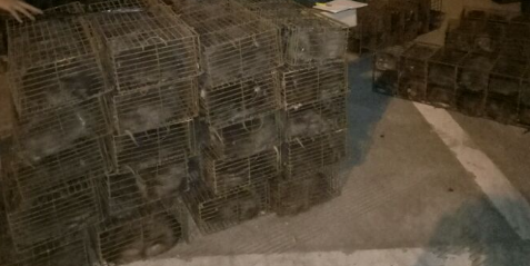 5只装钢筋运输笼