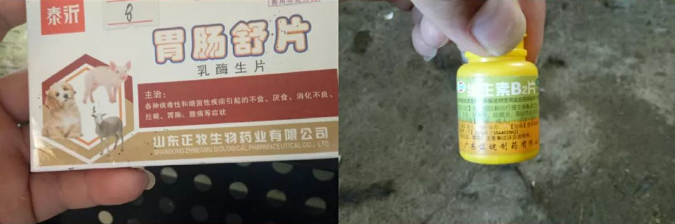 胃肠舒片、维生素B2片减少竹鼠应激