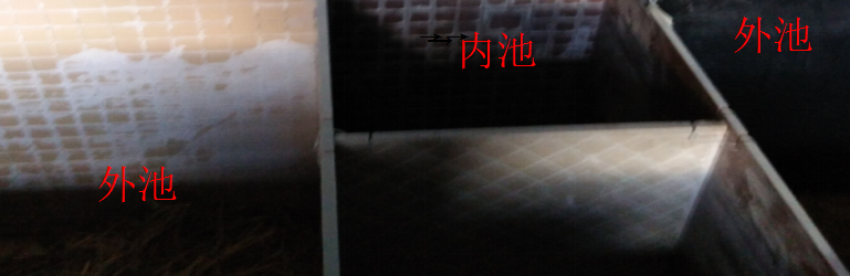 竹鼠繁殖池内外池优缺点