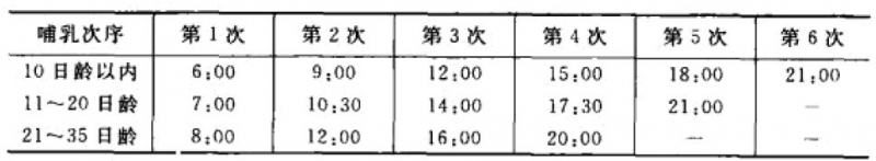 人工哺乳的竹鼠的时间
