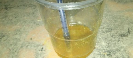将药混合水中,用针筒注射喂竹鼠