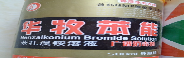 华牧苯能竹鼠鼠池消毒